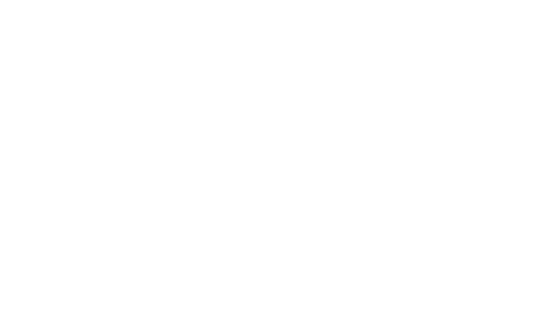 Logo SSEC